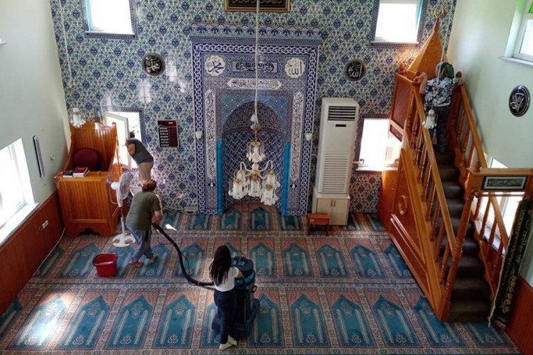 16496_4995-1720440613