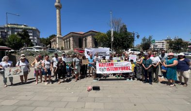 Hayvanseverler tek ses oldu: Yasayı geri çek!