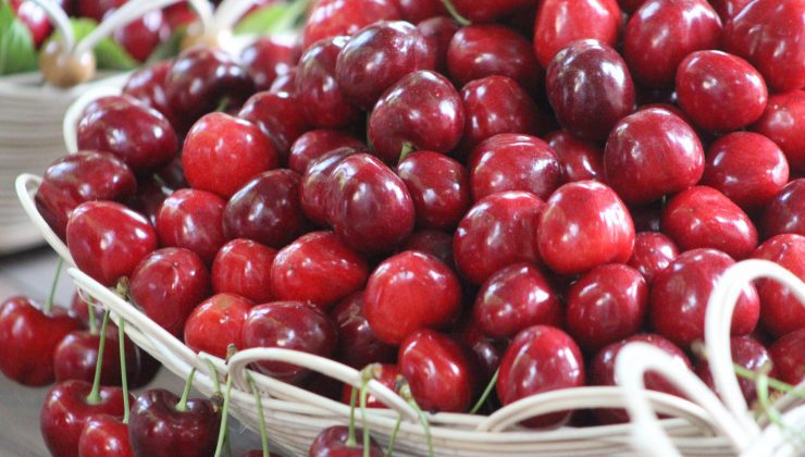 59.Uluslararası Tekirdağ Kiraz Festivali Coşkuyla Başladı
