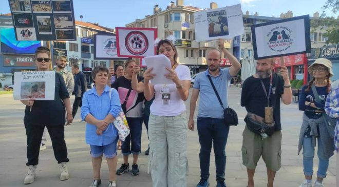 Tekirdağ’da Sokak Hayvanları Yasasına Tepki