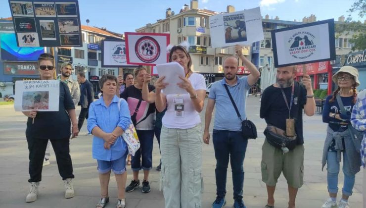 Tekirdağ’da Sokak Hayvanları Yasasına Tepki