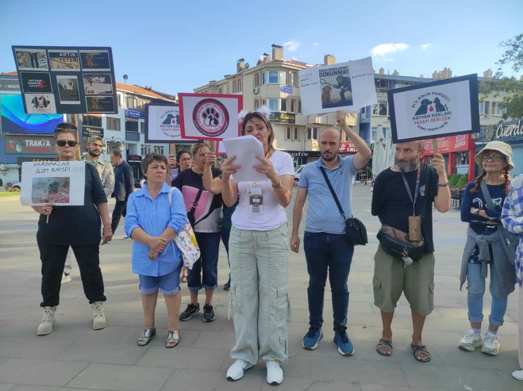 WhatsApp Image 2025-09-22 at 13.50.20 (1)