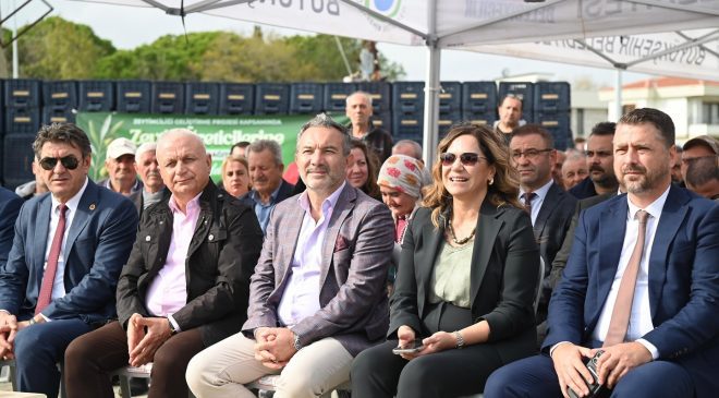 BÜYÜKŞEHİR’DEN ZEYTİN ÜRETİCİLERİNE CANDAN DESTEK