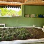 indir - 2026-04-17T144428.007