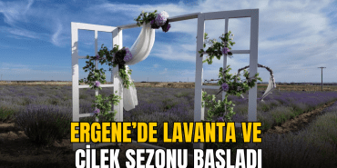 ergene-de-lavanta-ve-cilek-sezonu-basladi