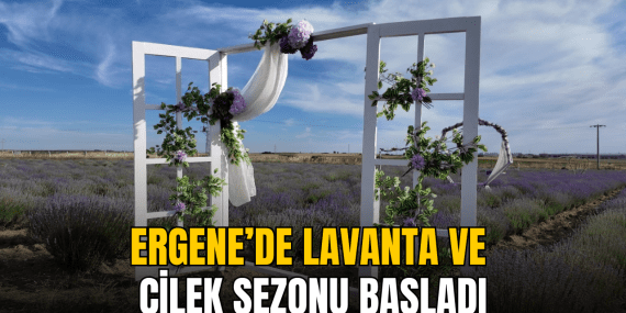 ergene-de-lavanta-ve-cilek-sezonu-basladi